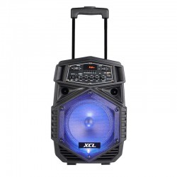 Φορητό Ασύρματο Ηχείο Bluetooth Καραόκε Karaoke με Ράδιο, υποδοχή TF/SD P-805
