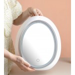 Καθρέπτης με φωτισμό Led και Ενσωματωμένο Ντουλάπι και Συρτάρι Αποθήκευσης Oval Cosmetic Box