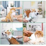 Βούρτσα στεγνώματος pet grooming dryer