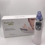 Multi-Functional Beauty Instrument WMZ-0804