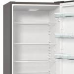 Gorenje RK6202ES4 Ψυγειοκαταψύκτης