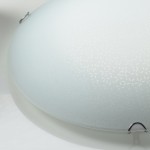 Aca DL0840 Φωτιστικό Οροφής & Τοίχου Λευκό Γυαλί Μοτίβο Scilla