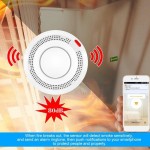 Andowl WiFi αισθητήρας καπνού και φωτιάς Q-YW30 – WiFi Smoke alarm Q-YW30