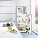 Liebherr CTele 2531 Ψυγείο Δίπορτο Inox με SmartFrost