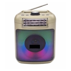 Επαναφορτιζόμενο FM ράδιο 3″ KTF-1421 