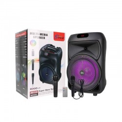 SingE Φορητό ηχείο με μικρόφωνο 12″ ZQS12146