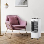 Primo PRAC-80622 Air Cooler 80W Λευκό-Μαύρο