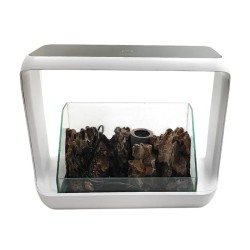 Κιτ βραχόκηπου με terrarium
