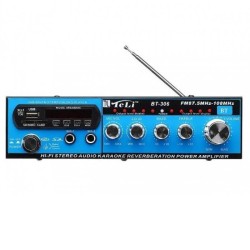Oem BT-306 Ραδιοενισχυτής Bluetooth Stereo Karaoke 2x100W
