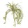 Inart Φυτό/Κλαδί Υ60 Πράσινο 3-85-783-0043