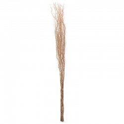 Inart Διακοσμητικό Κλαδί Σετ Των 10 Υ195 Φυσικό-Μπεζ 3-70-273-0009
