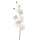 Inart Κλαδί/Λουλούδι Υ93 Λευκό-Ιβουάρ 3-85-100-0122